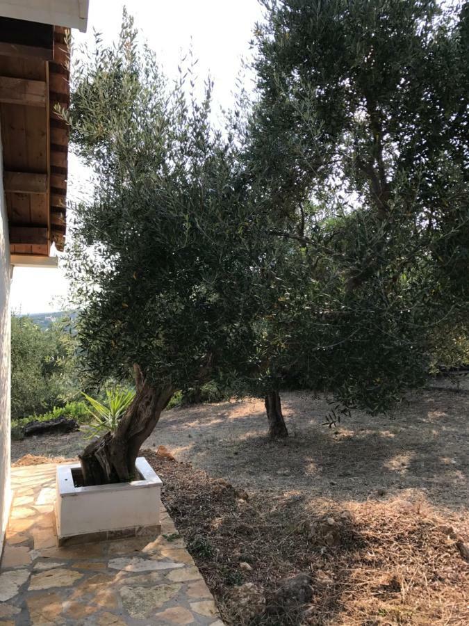 Ferienhaus Olive Garden Kyparissia Exteriér fotografie