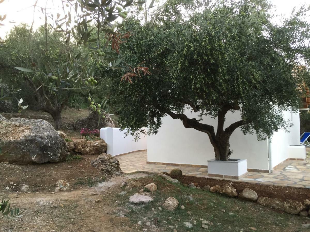 Ferienhaus Olive Garden Kyparissia Exteriér fotografie