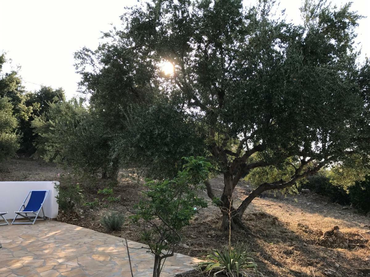 Ferienhaus Olive Garden Kyparissia Exteriér fotografie